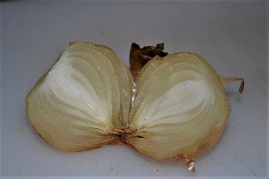 Head of onion frozen by high-voltage ultrasound